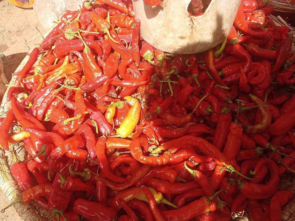 Mountains of red chilies at a market