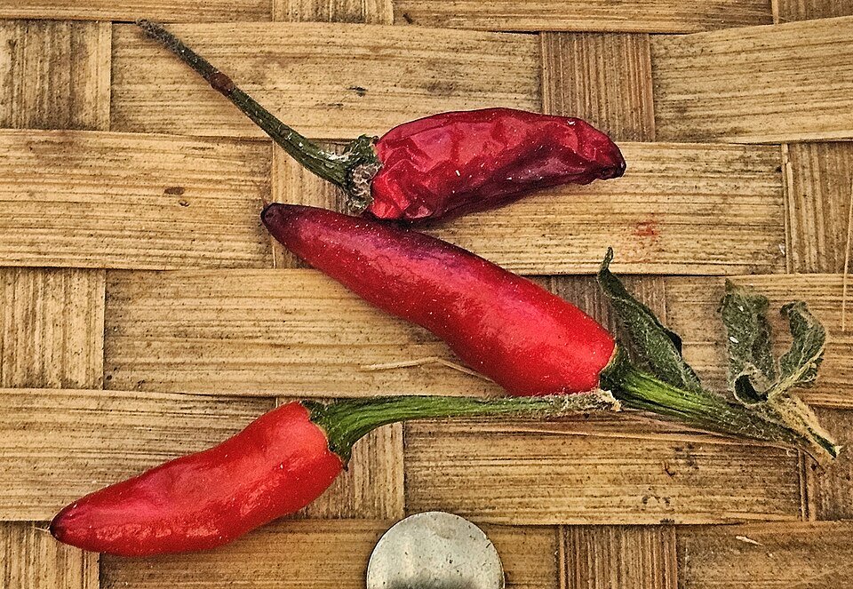 Dried red chilies on a woven mat
