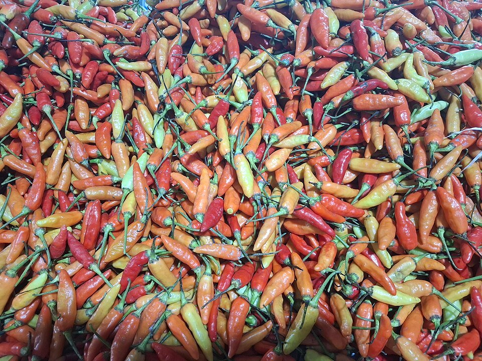 A pile of fresh cabai rawit