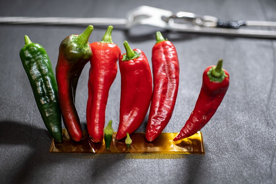 Fresh red and green chilies